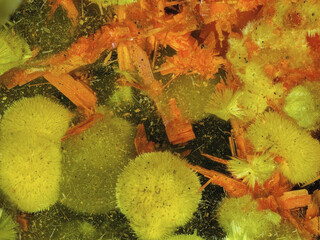 Demokratische Republik Kongo/Katanga (Shaba), Provinz/Ober-Katanga (Haut-Katanga), Distrikt/Shinkolobwe (Kasolo)