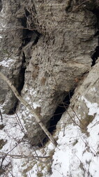 Deutschland/Thüringen/Nordhausen, Landkreis/Steigerthal/Schellenberg