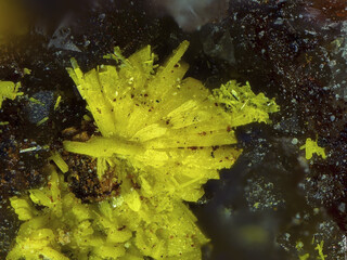 Deutschland/Sachsen/Vogtlandkreis/Neuensalz/Mechelgrün