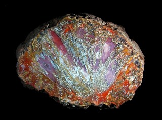 Deutschland/Rheinland-Pfalz/Birkenfeld, Landkreis/Birkenfeld, Verbandsgem./Hoppstädten-Weiersbach