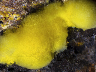 Deutschland/Baden-Württemberg/Freiburg, Bezirk/Waldshut, Landkreis/St. Blasien, Stadtgemeinde/Menzenschwand, Ortsteil/Krunkelbach