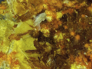 Demokratische Republik Kongo/Katanga (Shaba), Provinz/Ober-Katanga (Haut-Katanga), Distrikt/Shinkolobwe (Kasolo)