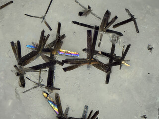 Deutschland/Baden-Württemberg/Freiburg, Bezirk/Ortenaukreis/Oberwolfach/Grube Clara