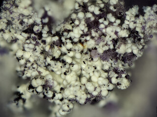 Deutschland/Baden-Württemberg/Freiburg, Bezirk/Ortenaukreis/Oberwolfach/Grube Clara