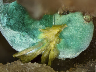 Deutschland/Baden-Württemberg/Freiburg, Bezirk/Rottweil, Landkreis/Schenkenzell, Gemeinde/Kaltbrunn, Ortsteil/Wittichen/Schmiedestollenhalde