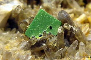 Deutschland/Thüringen/Saale-Orla-Kreis/Wurzbach/Weitisberga/Steinbruch Henneberg