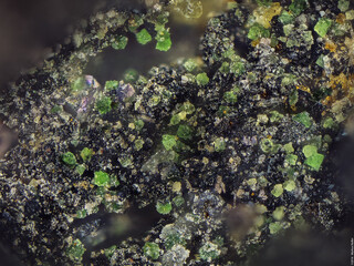 Deutschland/Sachsen/Erzgebirgskreis/Aue-Bad Schlema, Große Kreisstadt/Lagerstätte Schlema-Alberoda/Schacht 371