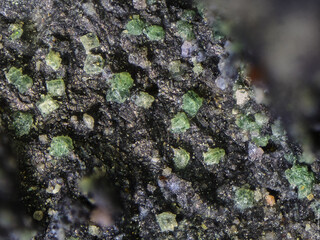 Deutschland/Sachsen/Erzgebirgskreis/Aue-Bad Schlema, Große Kreisstadt/Lagerstätte Schlema-Alberoda/Schacht 371