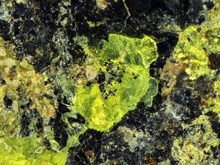 Deutschland/Sachsen/Erzgebirgskreis/Aue-Bad Schlema, Große Kreisstadt/Lagerstätte Schlema-Alberoda/Schacht 6