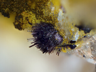 Deutschland/Baden-Württemberg/Freiburg, Bezirk/Ortenaukreis/Oberwolfach/Grube Clara