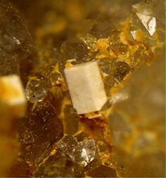 Deutschland/Sachsen/Mittelsachsen, Landkreis/Freiberg, Revier/Halsbrücke/Lorenz Gegentrum