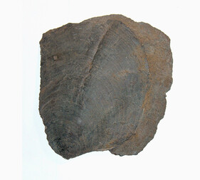 Deutschland/Niedersachsen/Salzgitter, kreisfreie Stadt/Gebhardshagen/Haverlahwiese