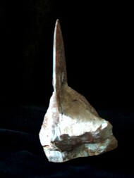 Österreich/Steiermark