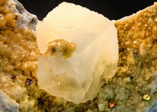 Deutschland/Nordrhein-Westfalen/Köln, Bezirk/Oberbergischer Kreis/Nümbrecht/Wirtenbach/Stbr. Schretzmair (Büschhof)