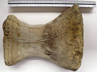 Italien/Toskana (Toscana)