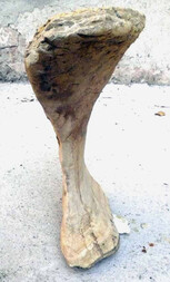 Italien/Toskana (Toscana)