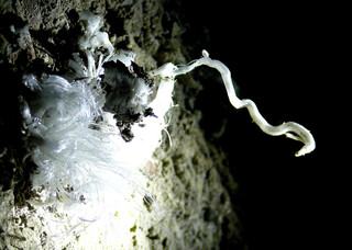 Polen/Kleinpolen (Malopolskie), Woiwodschaft/Groß Salze (Wielicki), Powiat/Groß Salze (Wieliczka)