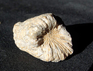 Deutschland/Baden-Württemberg/Karlsruhe, Bezirk/Mannheim