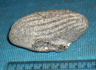 Deutschland/Mecklenburg-Vorpommern/Rostock, Landkreis/Kühlungsborn