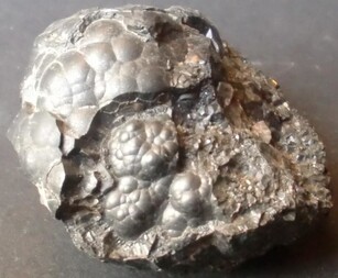 Deutschland/Baden-Württemberg/Freiburg, Bezirk/Waldshut, Landkreis/St. Blasien, Stadtgemeinde/Menzenschwand, Ortsteil/Krunkelbach