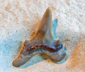 Deutschland/Nordrhein-Westfalen