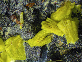 Deutschland/Baden-Württemberg/Freiburg, Bezirk/Waldshut, Landkreis/St. Blasien, Stadtgemeinde/Menzenschwand, Ortsteil/Krunkelbach