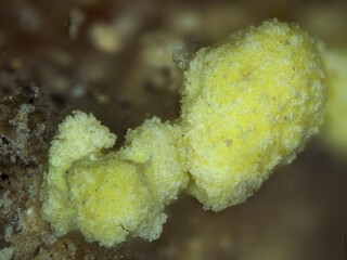 Deutschland/Sachsen/Erzgebirgskreis/Schneeberg, Lagerstätte/Zschorlau/Magnetschacht (Magnetstollen; Schacht 73)