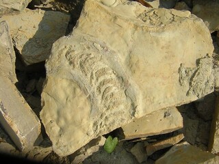 Deutschland/Thüringen/Weimarer Land, Landkreis/Troistedt