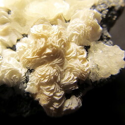 Deutschland/Bayern/Oberpfalz, Bezirk/Tirschenreuth, Landkreis/Kulmain/Zinst/Zinster Kuppe (Rothenhof)