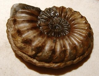 Deutschland/Bayern/Mittelfranken, Bezirk/Erlangen-Höchstadt, Landkreis/Kalchreuth, Gemeinde/Tongrube