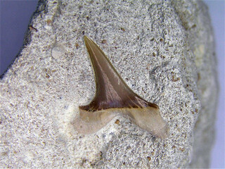 Frankreich/Hauts-de-France, Région/Somme, Département/Amiens, Arrondissement/Amiens