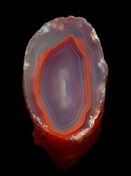 Deutschland/Rheinland-Pfalz/Alzey-Worms, Landkreis/Wendelsheim/Kuhacker