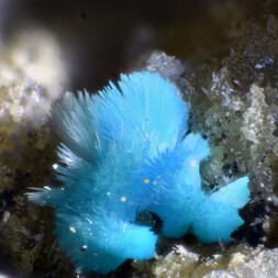 Deutschland/Niedersachsen/Goslar, Landkreis/Schulenberg im Oberharz/Oberschulenberg/Grube Glücksrad