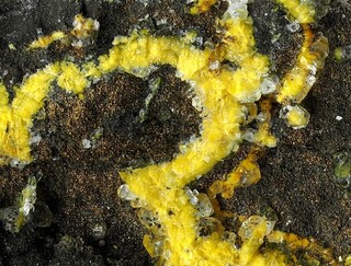 Deutschland/Baden-Württemberg/Karlsruhe, Bezirk/Rhein-Neckar-Kreis/Mauer/Steinbruch Hartmann (Steinbruch am Schneeberg)