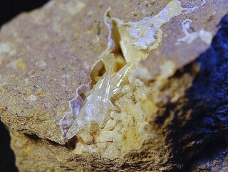 Deutschland/Sachsen/Erzgebirgskreis/Oberwiesenthal/Hammerunterwiesenthal/Richterbruch