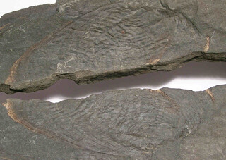 Deutschland/Hessen/Kassel, Bezirk/Waldeck-Frankenberg, Landkreis/Edersee