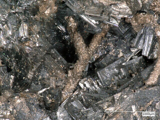 Deutschland/Sachsen-Anhalt/Mansfeld-Südharz, Landkreis/Lutherstadt Eisleben