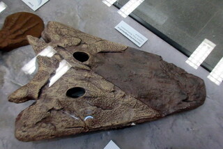 Deutschland/Schleswig-Holstein/Pinneberg, Landkreis/Helgoland, Insel