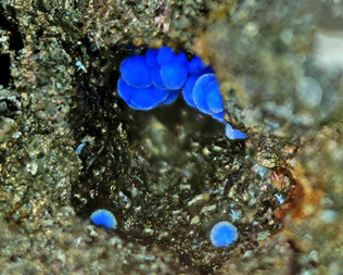 Deutschland/Sachsen-Anhalt/Mansfeld-Südharz, Landkreis/Mansfelder Grund-Helbra/Helbra/Kochhütte (August-Bebel-Hütte)
