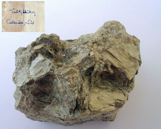 Deutschland/Sachsen/Zwickau, Landkreis/Callenberg