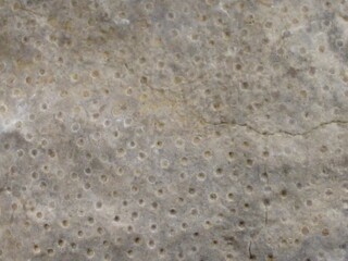 Deutschland/Rheinland-Pfalz/Vulkaneifel, Landkreis/Üxheim/Steinbrüche Ahütte