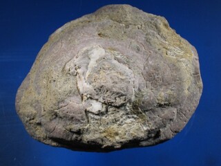 Deutschland/Rheinland-Pfalz/Vulkaneifel, Landkreis/Üxheim/Steinbrüche Ahütte