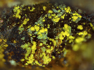 Deutschland/Sachsen/Vogtlandkreis/Klingenthal/SDAG Wismut Uranrevier Schneckenstein SO/Schurf 20 und 21