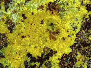 Deutschland/Sachsen/Vogtlandkreis/Klingenthal/SDAG Wismut Uranrevier Schneckenstein SO/Schurf 20 und 21