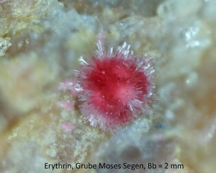 Deutschland/Baden-Württemberg/Karlsruhe, Bezirk/Freudenstadt, Landkreis/Alpirsbach/Reinerzau, Revier/Grube Moses Segen