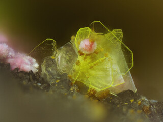 Deutschland/Baden-Württemberg/Freiburg, Bezirk/Rottweil, Landkreis/Schenkenzell, Gemeinde/Kaltbrunn, Ortsteil/Wittichen/Schmiedestollenhalde