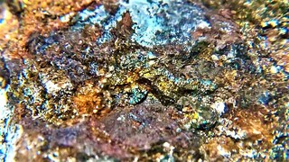 Italien/Trentino-Südtirol (Trentino-Alto Adige)/Südtirol (Bozen), Provinz/Eisacktal, Bezirk/Ridnauntal (Val Ridanna)/Runggenbach (Rio dei Ronchi)