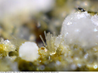 Deutschland/Rheinland-Pfalz/Vulkaneifel, Landkreis/Daun/Üdersdorf/Löhley