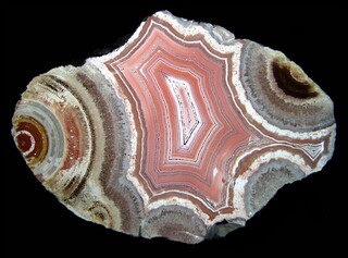 Deutschland/Rheinland-Pfalz/Südliche Weinstraße, Landkreis/Waldhambach/Steinbruch Kuhn