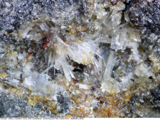 Deutschland/Rheinland-Pfalz/Vulkaneifel, Landkreis/Daun/Üdersdorf/Löhley